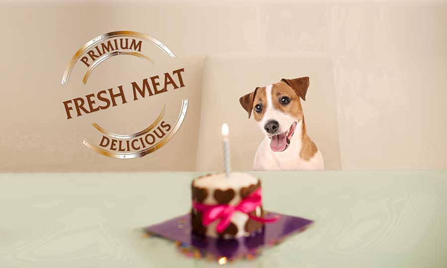 Primium - First Premium foods for Dogs and Cats